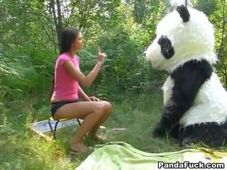 X ซึ่งได้ประเมิน วีดีโอ ใน the ป่า ด้วย a มหาศาล ของเล่น panda